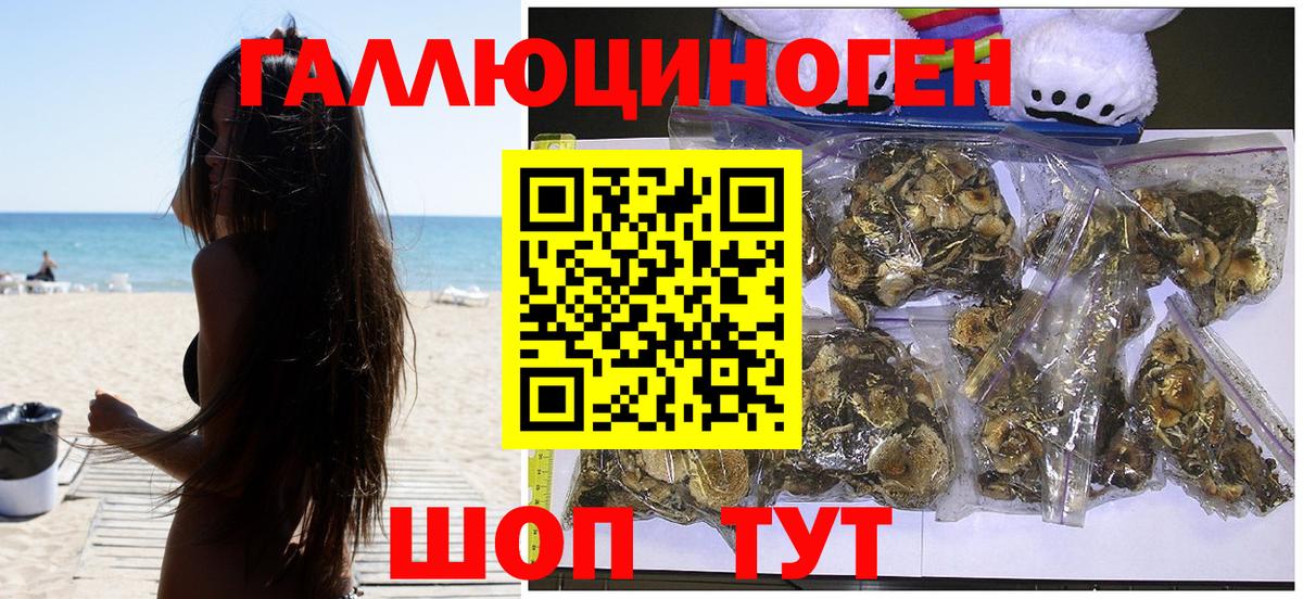 Галлюциногенные грибы GOLDEN TEACHER Новоалександровск