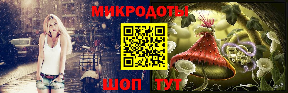 Псилоцибиновые грибы Magic Shrooms  купить наркотики цена  Вход с VPN  Новоалександровск  Галлюциногенные грибы ЛСД 